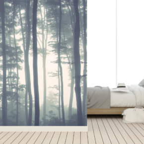 Top 6 bomen behang Top 6 bomen behang