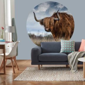 Nieuwe trend: Behangcirkels Nieuwe trend: Behangcirkels
