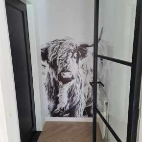 Hoe kan je een kleine ruimte decoreren met fotobehang? Hoe kan je een kleine ruimte decoreren met fotobehang?